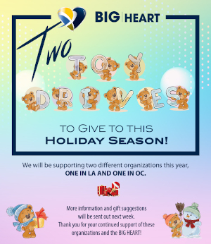 BIG HEART Toy Drive display