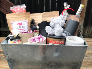 Blue Bell Foundation for Cats display